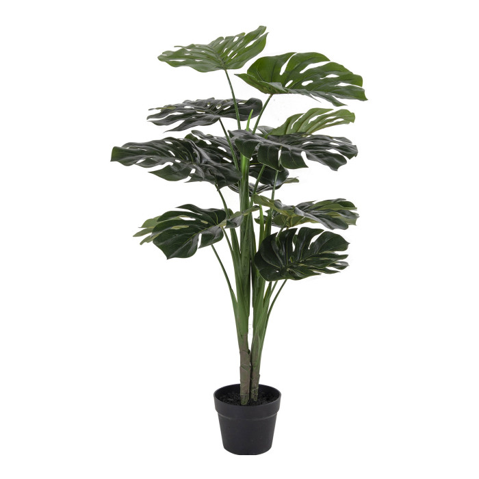 MONSTERA 9501000
