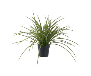 GRASS 9501004