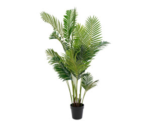 Delninė ARECA 9501020