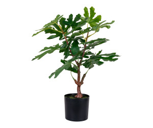 Koks FIG 9501110