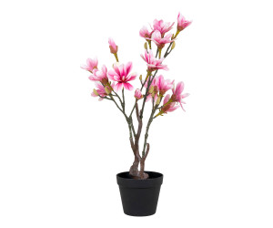 Koks MAGNOLIA 9501130