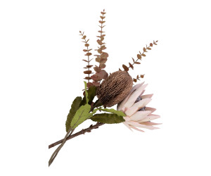 Protea puokštė KING 9501160