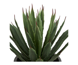 Dekoratīvs augs AGAVE — krāsa: pelēka / zaļa Dekoratīvs augs AGAVE — krāsa: pelēka / zaļa
