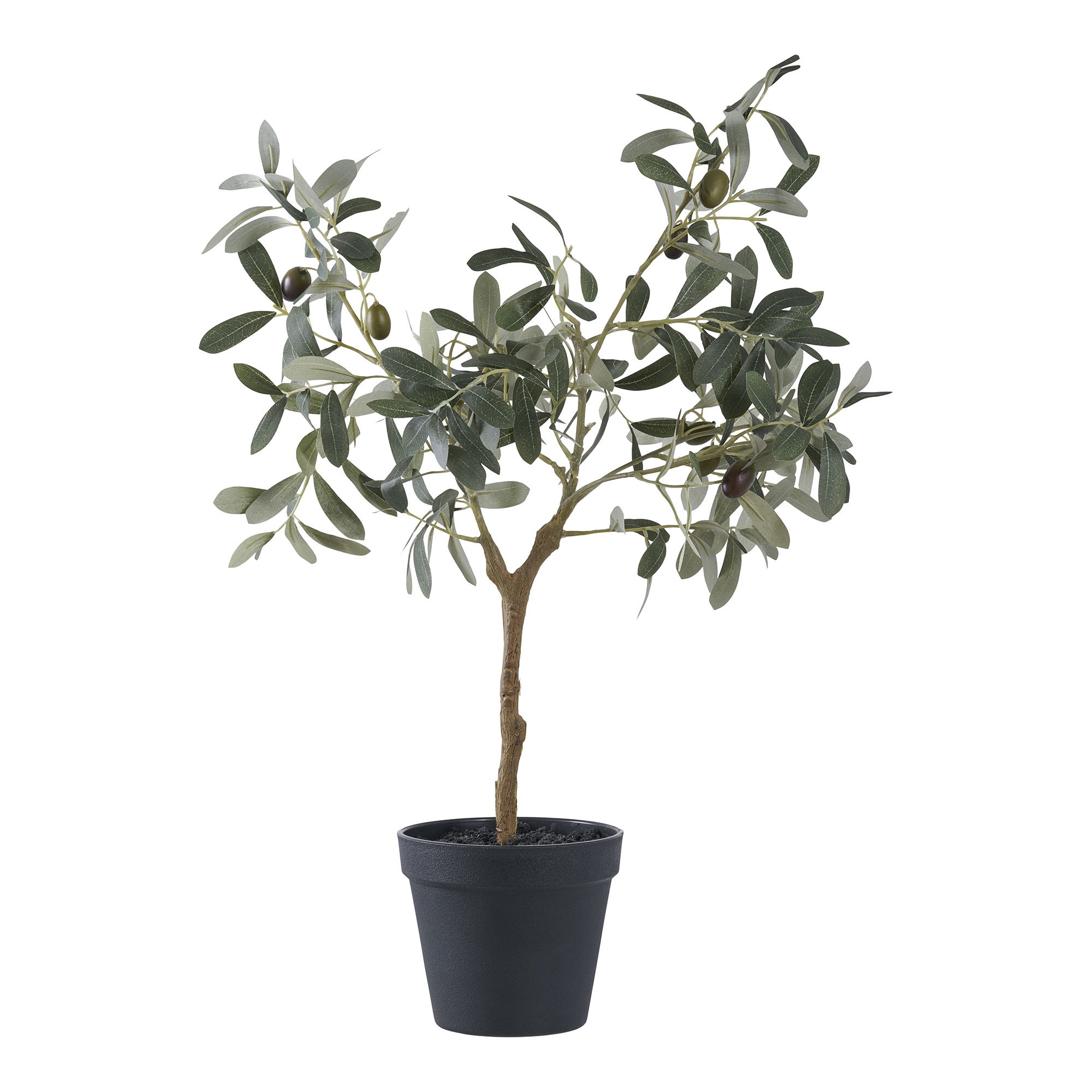 House Nordic Koks OLIVE 9501002