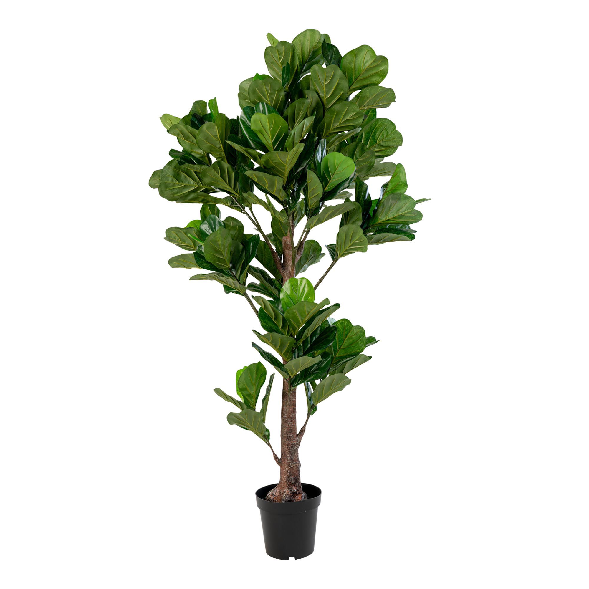 House Nordic Lapu koks FIDDLE 9501050