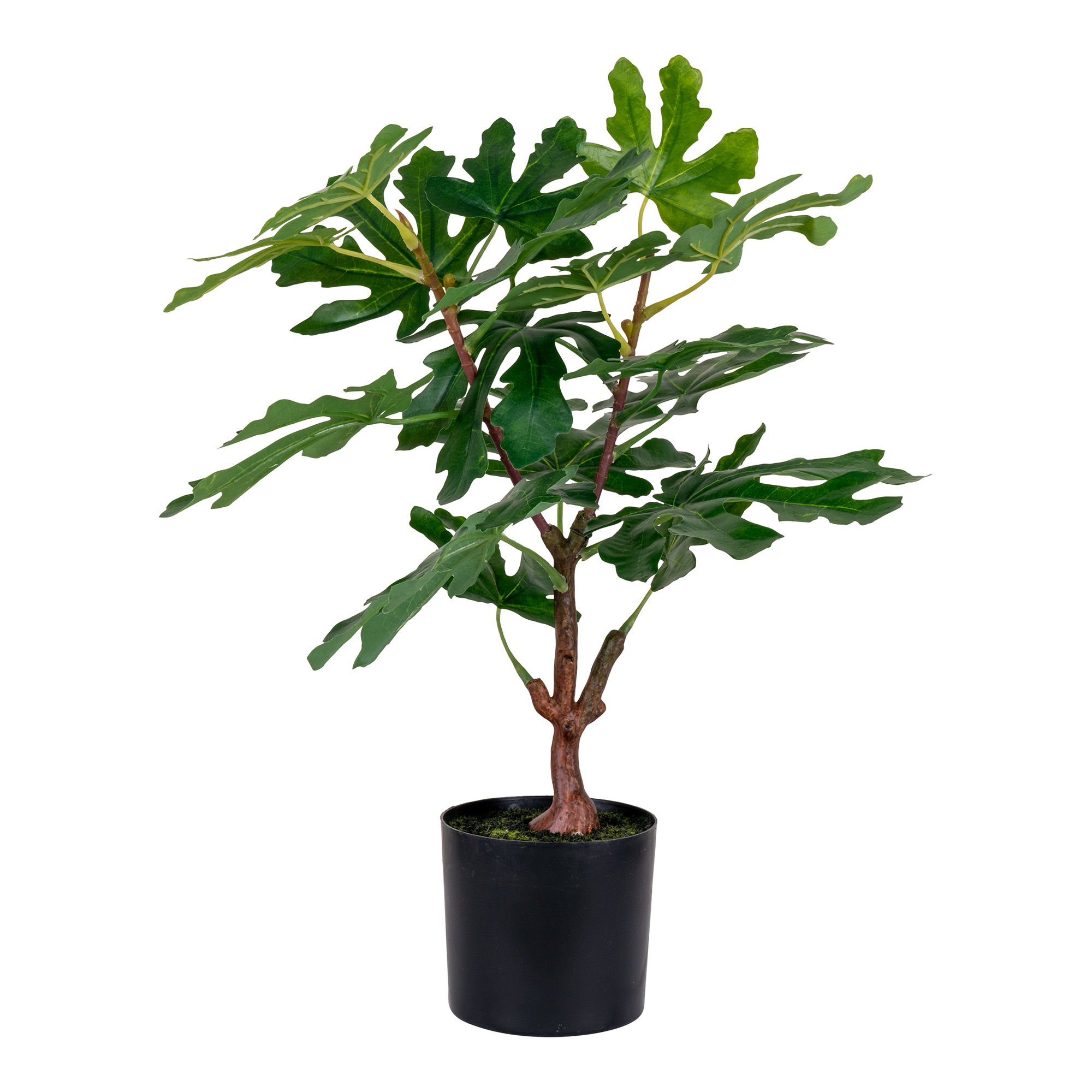 House Nordic Koks FIG 9501110